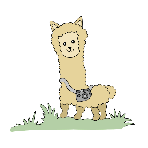 8llama